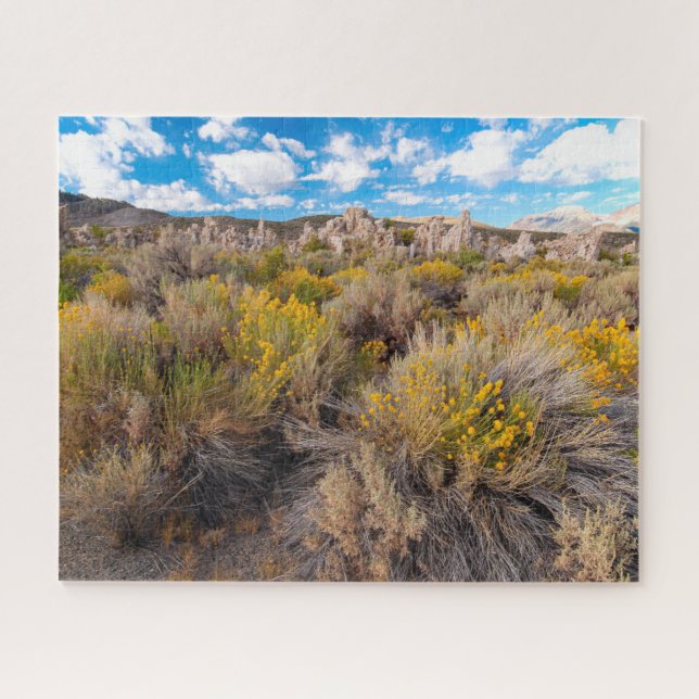 Blumen | Blühende Sagebrush Kalifornien (Horizontal)