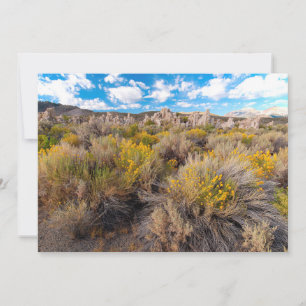 Blumen   Blühende Sagebrush Kalifornien Dankeskarte