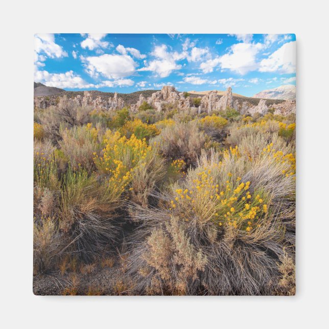 Blumen | Blühende Sagebrush Kalifornien Magnet (Vorne)