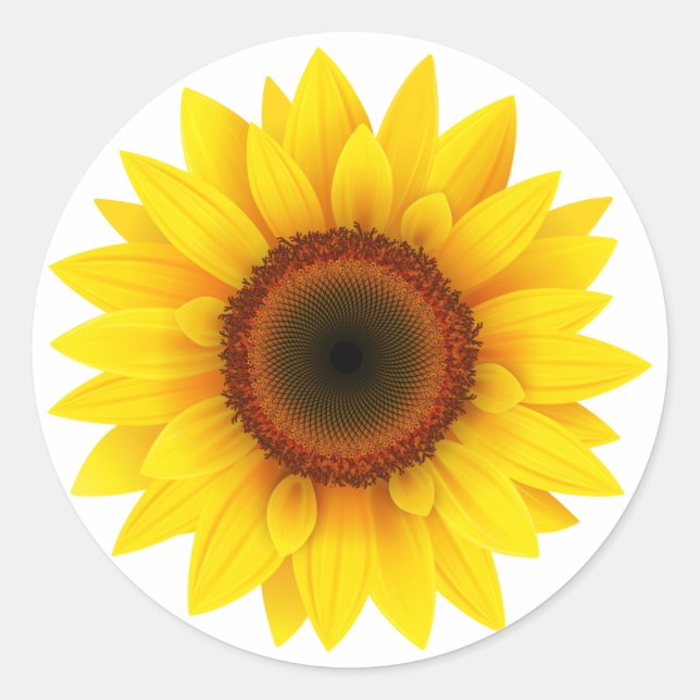 Blumen, Blume, Garten, Frauenfall, Sonnenblumen Runder Aufkleber (Vorderseite)