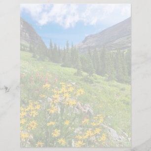 Blumen Blume Montana