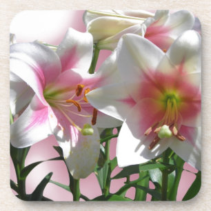 Blumen-Blüten-Frühlings-Garten-Liebe-Duschen-Party Getränkeuntersetzer