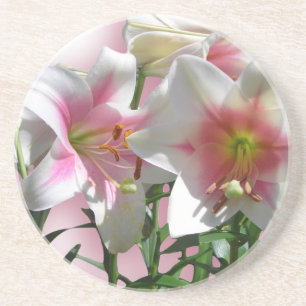 Blumen-Blüten-Frühlings-Garten-Liebe-Duschen-Party Sandstein Untersetzer