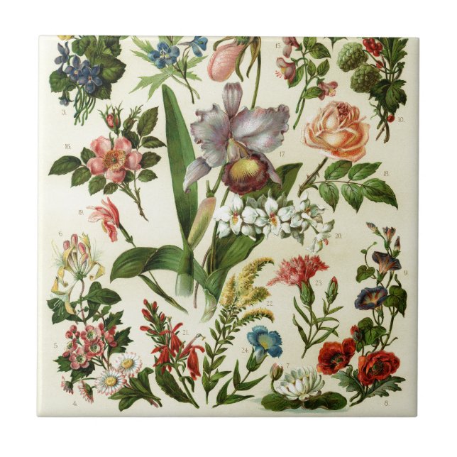 Blumen Botanicals Fliese (Vorderseite)