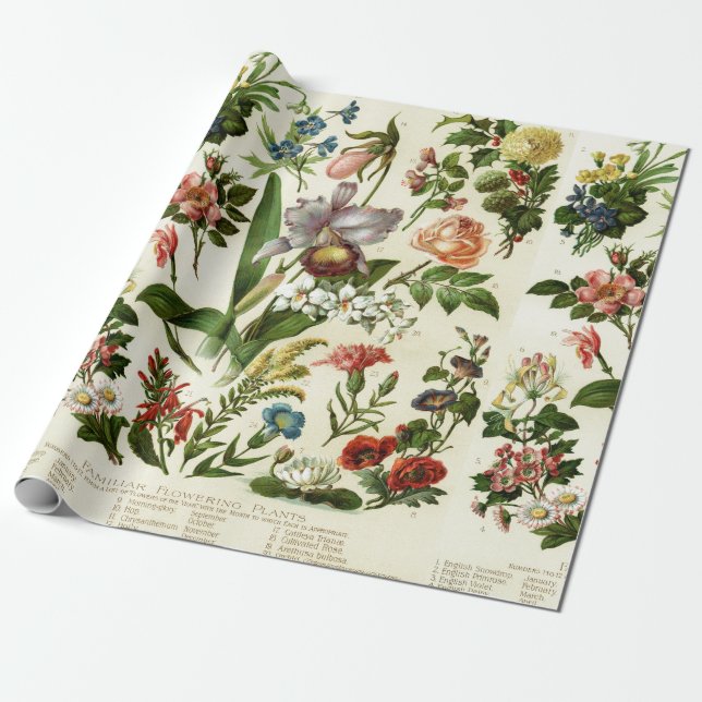 Blumen Botanik Geschenkpapier (Ungerollt)