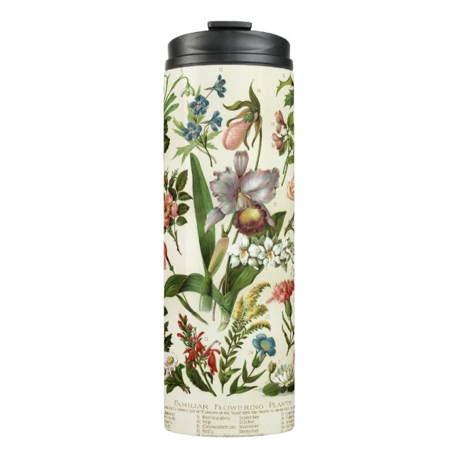 Blumen Botanik Thermosbecher (Vorderseite)