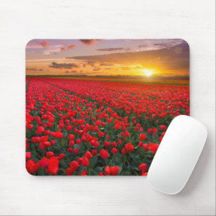Blumen   Botanischer Garten Holland Mousepad
