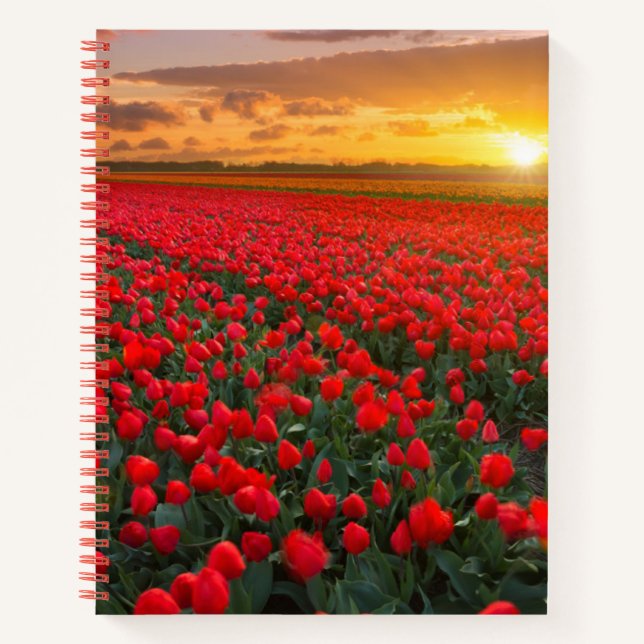 Blumen | Botanischer Garten Holland Notizbuch (Vorderseite)