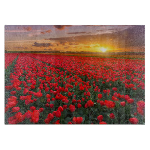 Blumen Botanischer Garten Holland Schneidebrett