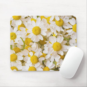 Blumen Bündel von Chamomiles Mousepad