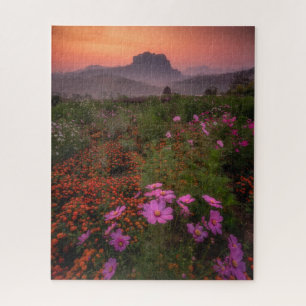 Blumen   Chiang Dao, Chiang Mai, Thailand