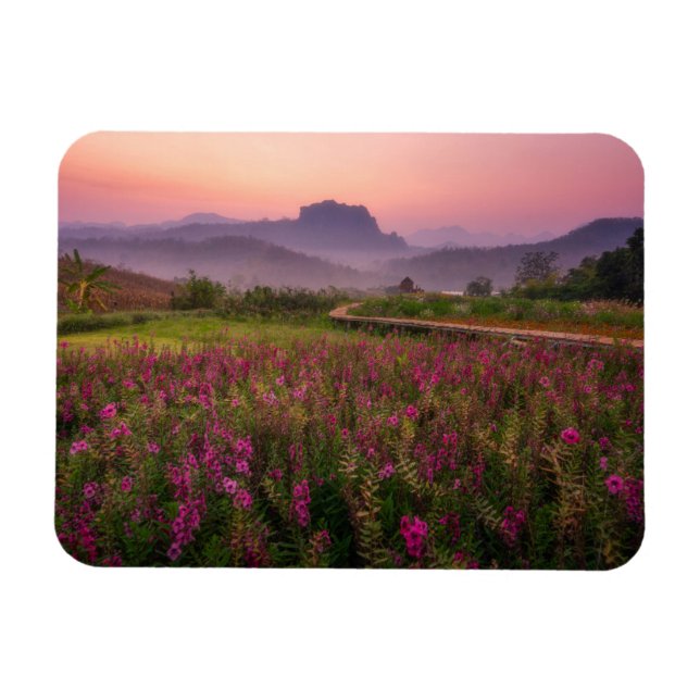 Blumen | Chiang Dao, Chiang Mai, Thailand Magnet (Horizontal)
