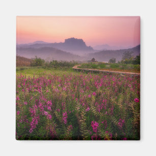 Blumen   Chiang Dao, Chiang Mai, Thailand Magnet