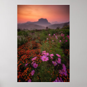 Blumen   Chiang Dao, Chiang Mai, Thailand Poster