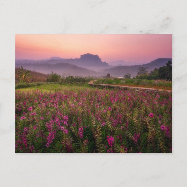 Blumen | Chiang Dao, Chiang Mai, Thailand Postkarte (Vorderseite)