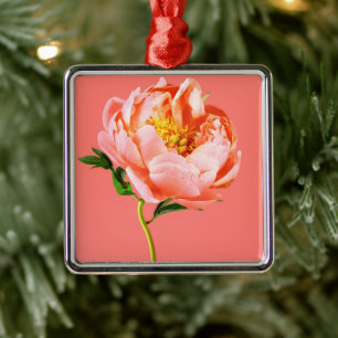 Blumen   Coral Peony Blossom Ornament Aus Metall