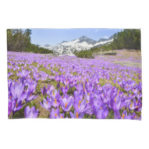 Blumen   Crocus Pirin Mountain Park Bulgarien Kissenbezug