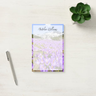 Blumen Crocus Pirin Mountain Park Bulgarien Post-it Klebezettel