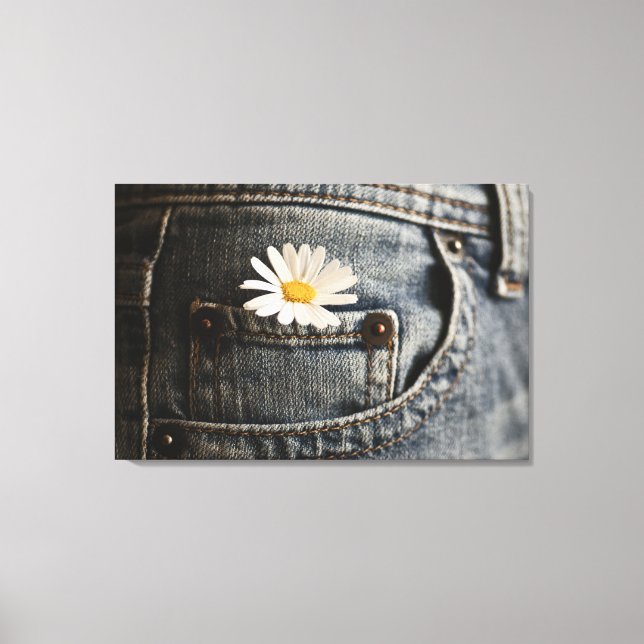 Blumen | Daisy in Jeans Pocket Leinwanddruck (Vorderseite)