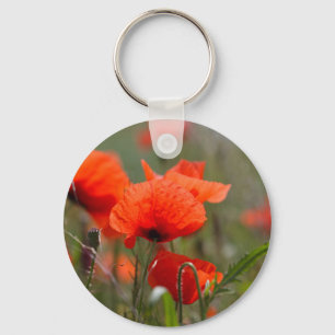 Blumen der gemeinen Mohnblume auf einem Gebiet Schlüsselanhänger