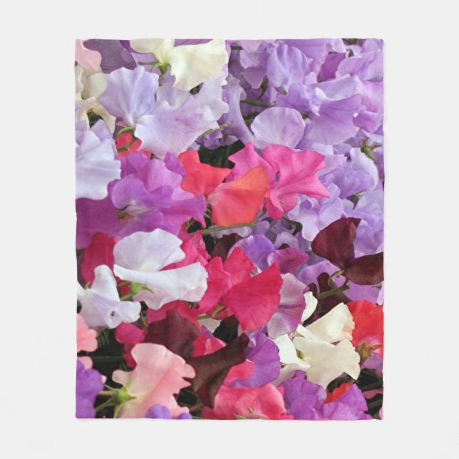 Blumen der süßen Erbse in der Blüte Fleecedecke (Vorderseite)