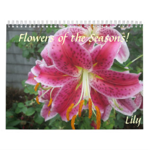 Blumen des Jahreszeit-Kalenders Kalender