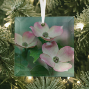 Blumen   Dogwood-Blüten Ornament Aus Glas