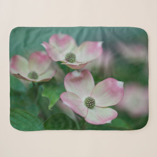 Blumen | Dogwood-Blüten Sherpadecke (Vorderseite (Horizontal))