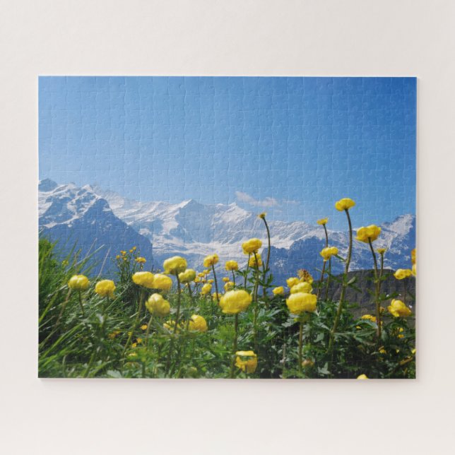 Blumen | Eiger Monch Schweizer Alpen (Horizontal)