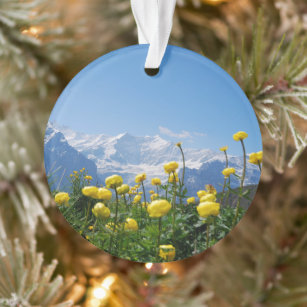 Blumen   Eiger Monch Schweizer Alpen Ornament