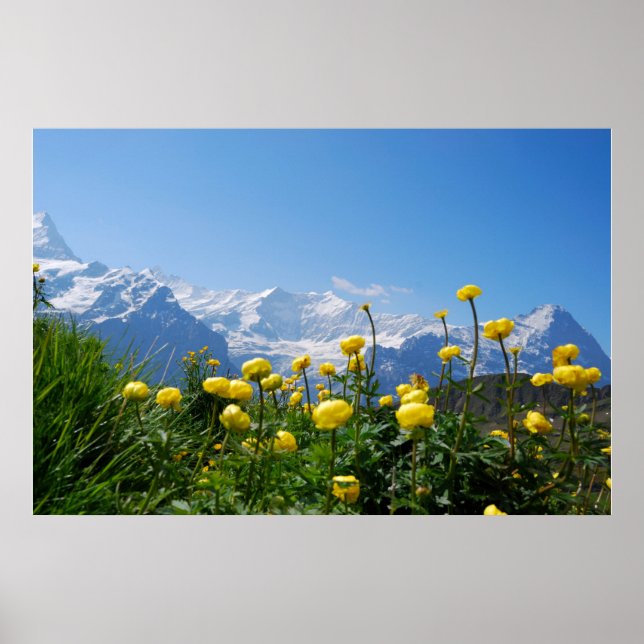 Blumen | Eiger Monch Schweizer Alpen Poster (Vorne)