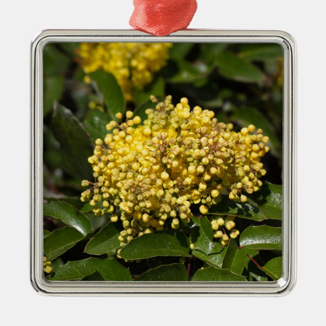 Blumen eines Oregon-Traubenbusches Ornament Aus Metall (Vorne)