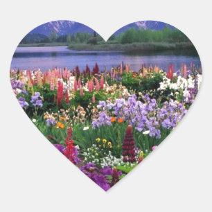 Blumen-Feld Herz-Aufkleber