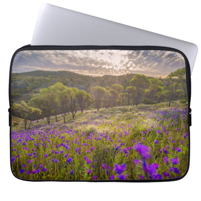 Blumen | Flinders Ranges Australien Laptopschutzhülle (Vorderseite)