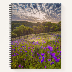 Blumen Flinders Ranges Australien Notizbuch