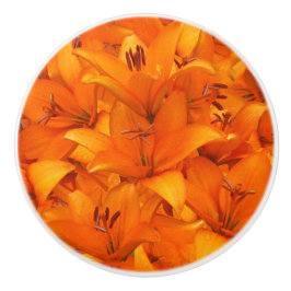 Blumen-Foto-orange Garten-Lilien Keramikknauf