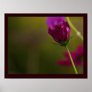 Blumen-Foto-Plakat Poster