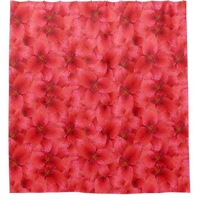 Blumen-Foto-rote Garten-Lilien Duschvorhang (Vorderseite)