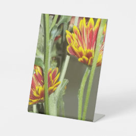 Blumen Foto Sockelschild