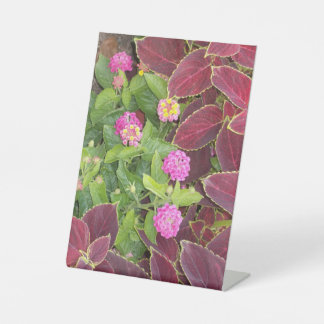 Blumen Foto Sockelschild