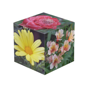 Blumen-Foto-Würfel Würfel
