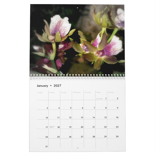 Blumen-Fotografie-Kalender 2010 Kalender (Jan 2027)