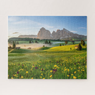 Blumen Frühjahrsalpe di Siusi Langkofel