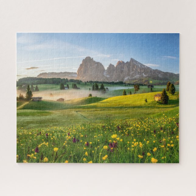 Blumen | Frühjahrsalpe di Siusi Langkofel (Horizontal)