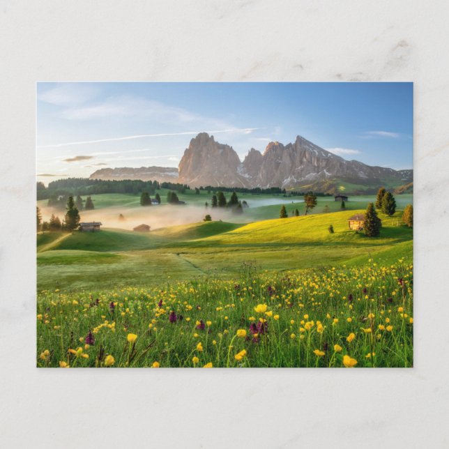 Blumen | Frühjahrsalpe di Siusi Langkofel Postkarte (Vorderseite)
