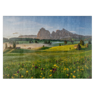 Blumen Frühjahrsalpe di Siusi Langkofel Schneidebrett