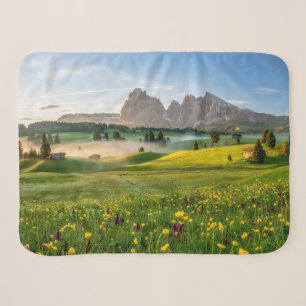 Blumen Frühjahrsalpe di Siusi Langkofel Sherpadecke