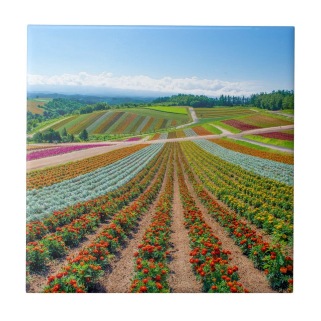 Blumen-Garten | Shikisai kein Oka Blumen-Bauernhof Fliese (Vorderseite)