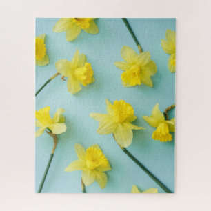 Blumen Gelbe Daffodien