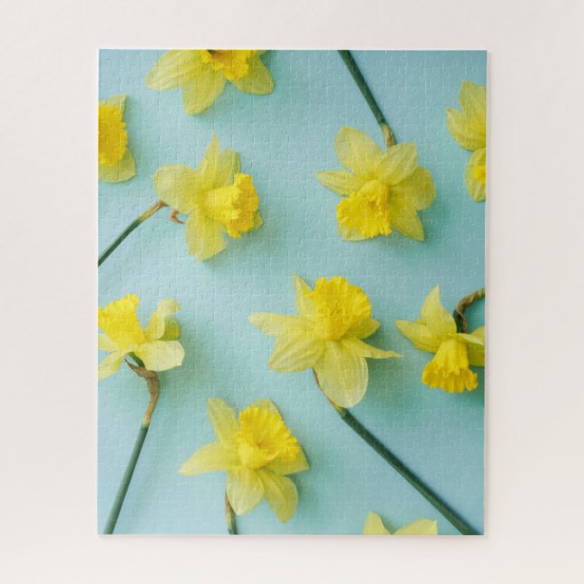 Blumen | Gelbe Daffodien (Vertikal)